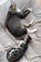 Kalea und kitten